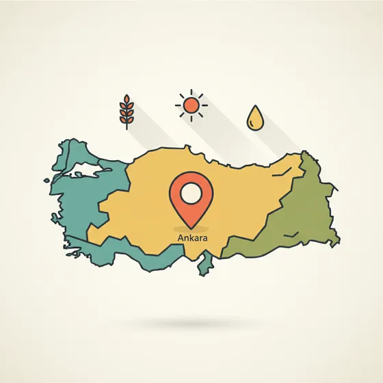 İnteraktif harita — illüstrasyon